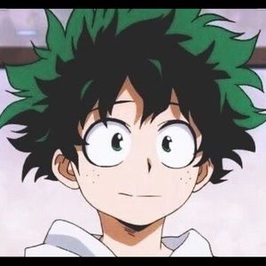 Meet your Posher, Nico